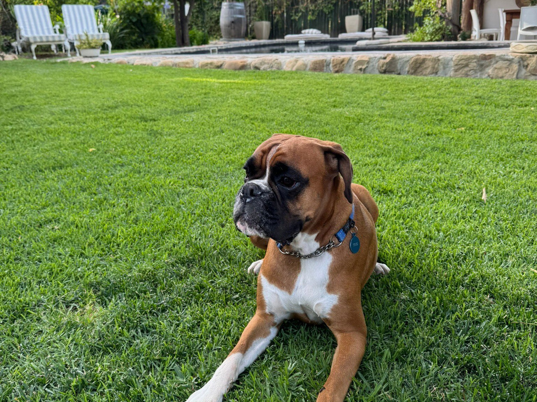 Onse Rus Guest House主图