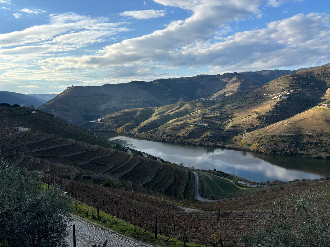 DWT - Douro Wine Tours-波尔图必去景点
