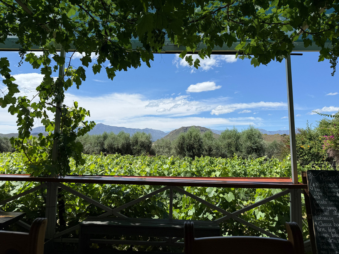 TTT Cellars-Calitzdorp必去景点