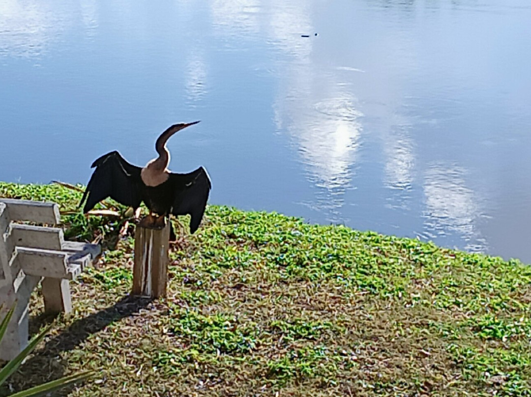 Palma Sola Botanical Park-布雷登顿必去景点