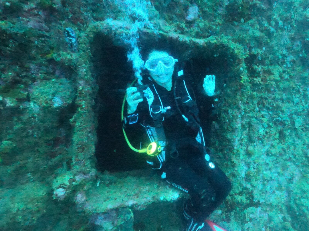 Allan Power Dive Tours-埃斯皮里图桑托岛必去景点