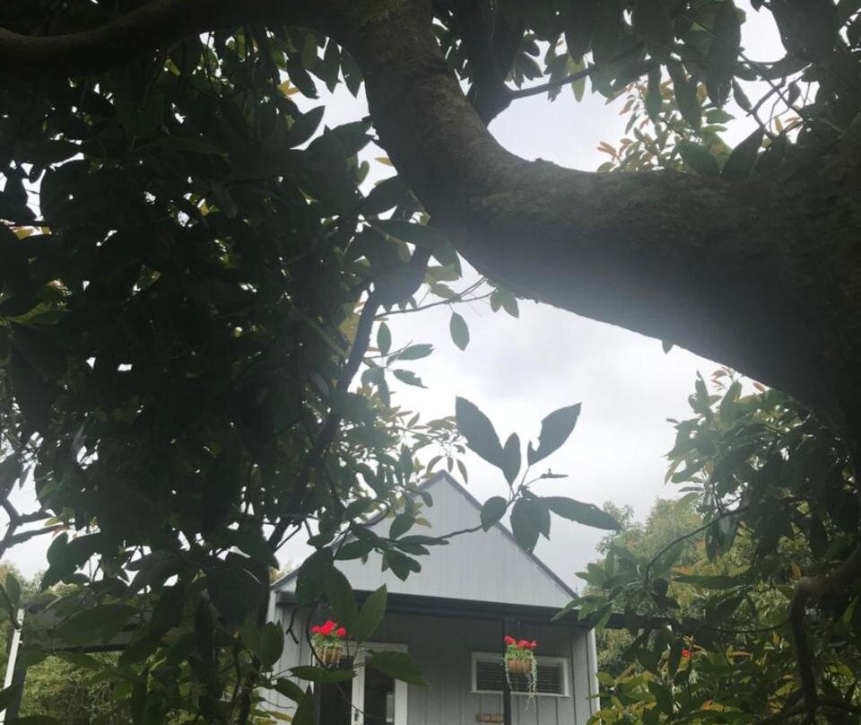 Opoutere酒店住宿-Paradise Grove