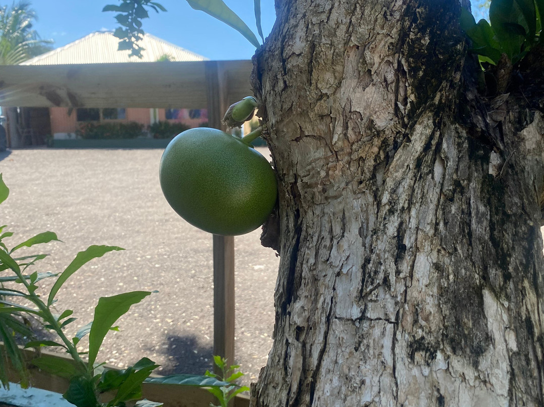 Beyond Sunset Resort and Villas主图