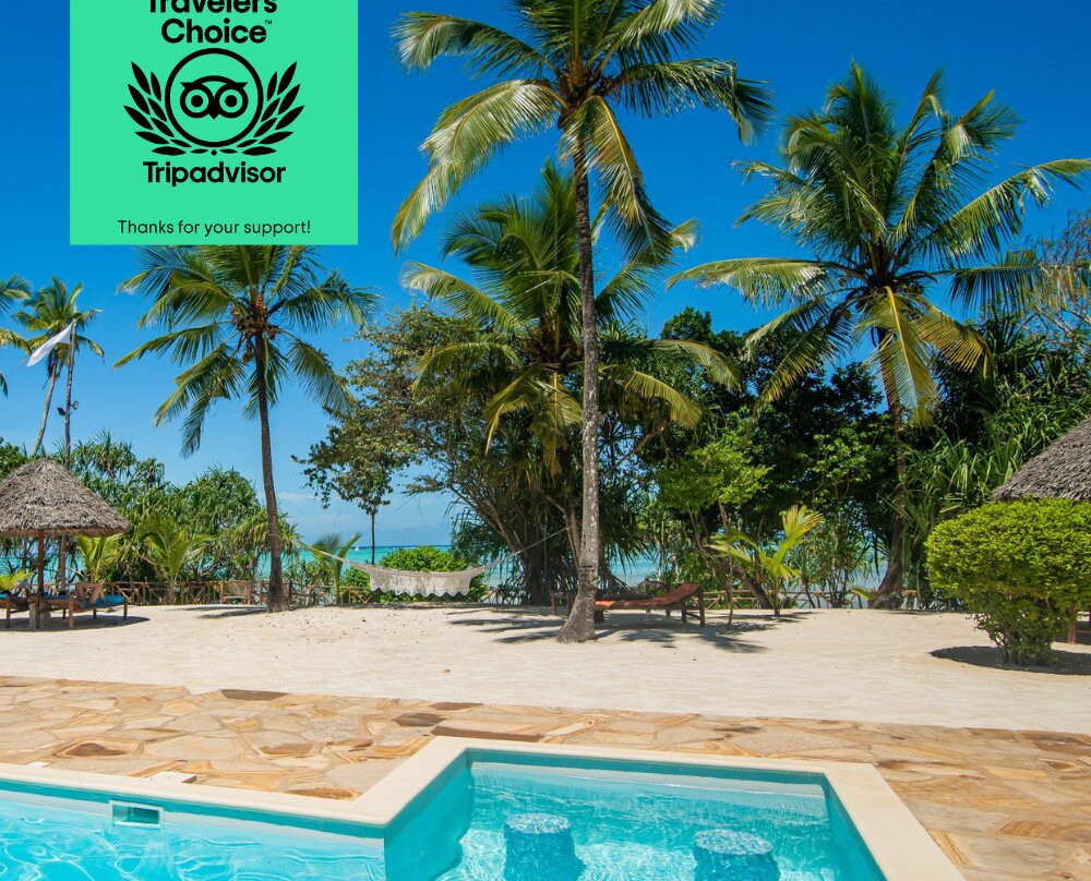 蓬圭酒店住宿-Tikitam Palms Boutique Hotel