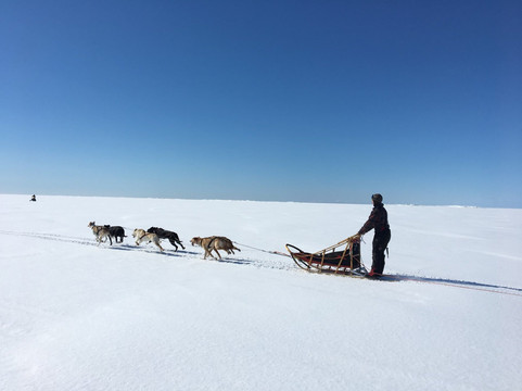 Discover Nordic Adventures