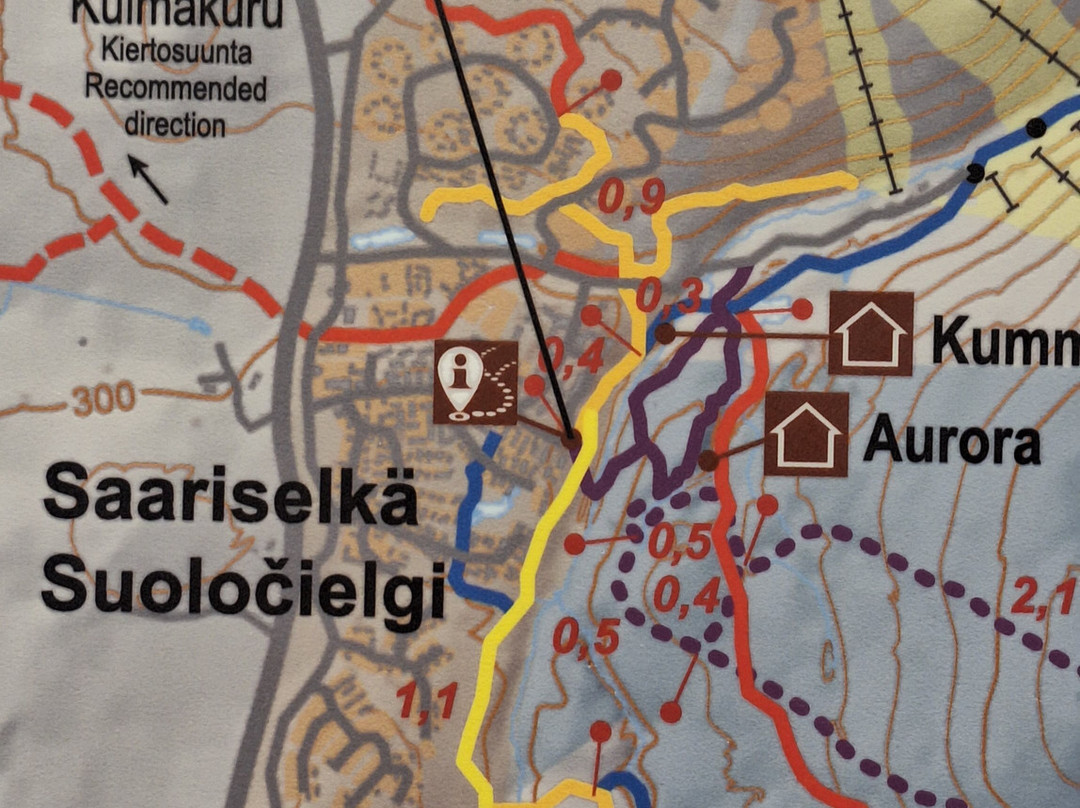 Aurorapolku-伊纳里必去景点