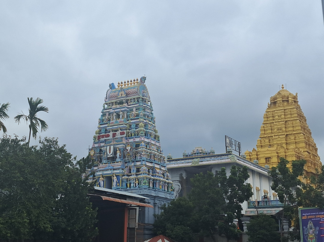 Panchavati Panchamukha Anjaneyar Temple景点图片