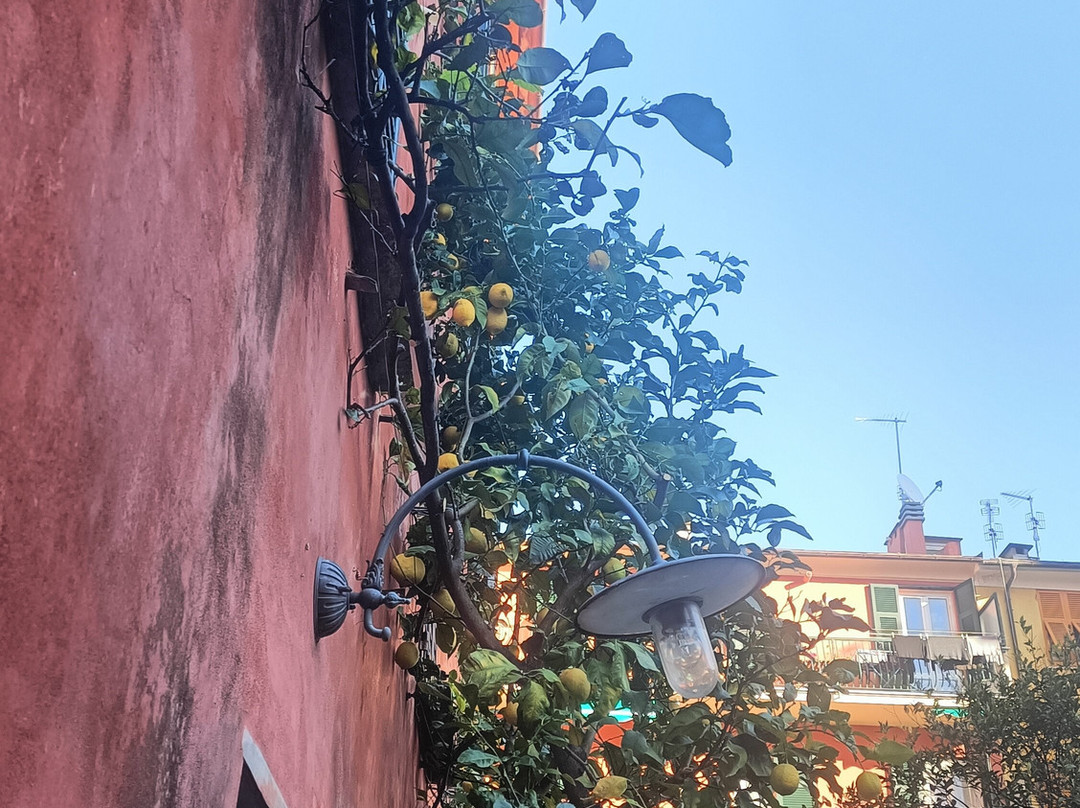 Casa Carbone景点图片