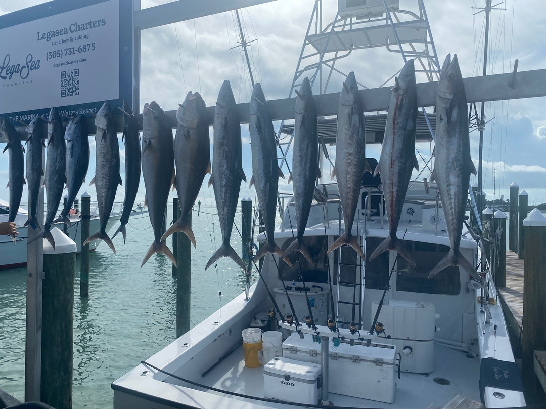 LegaSea Charters-伊斯拉摩拉达必去景点