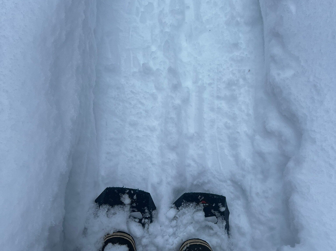 Revelstoke Snowshoe Company景点图片