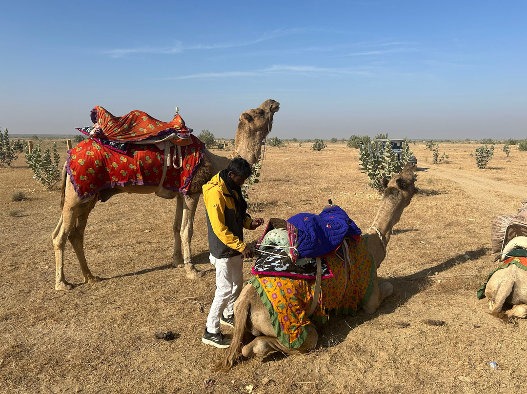 Thar Desert Tours景点图片