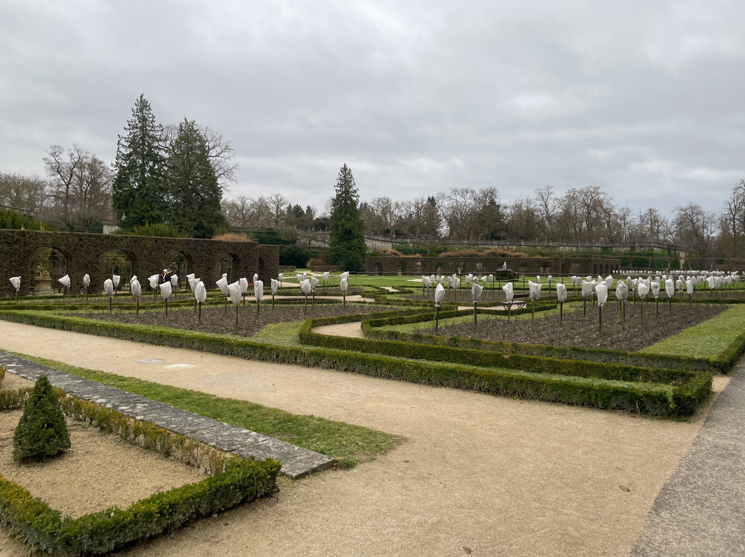 Der Hofgarten景点图片