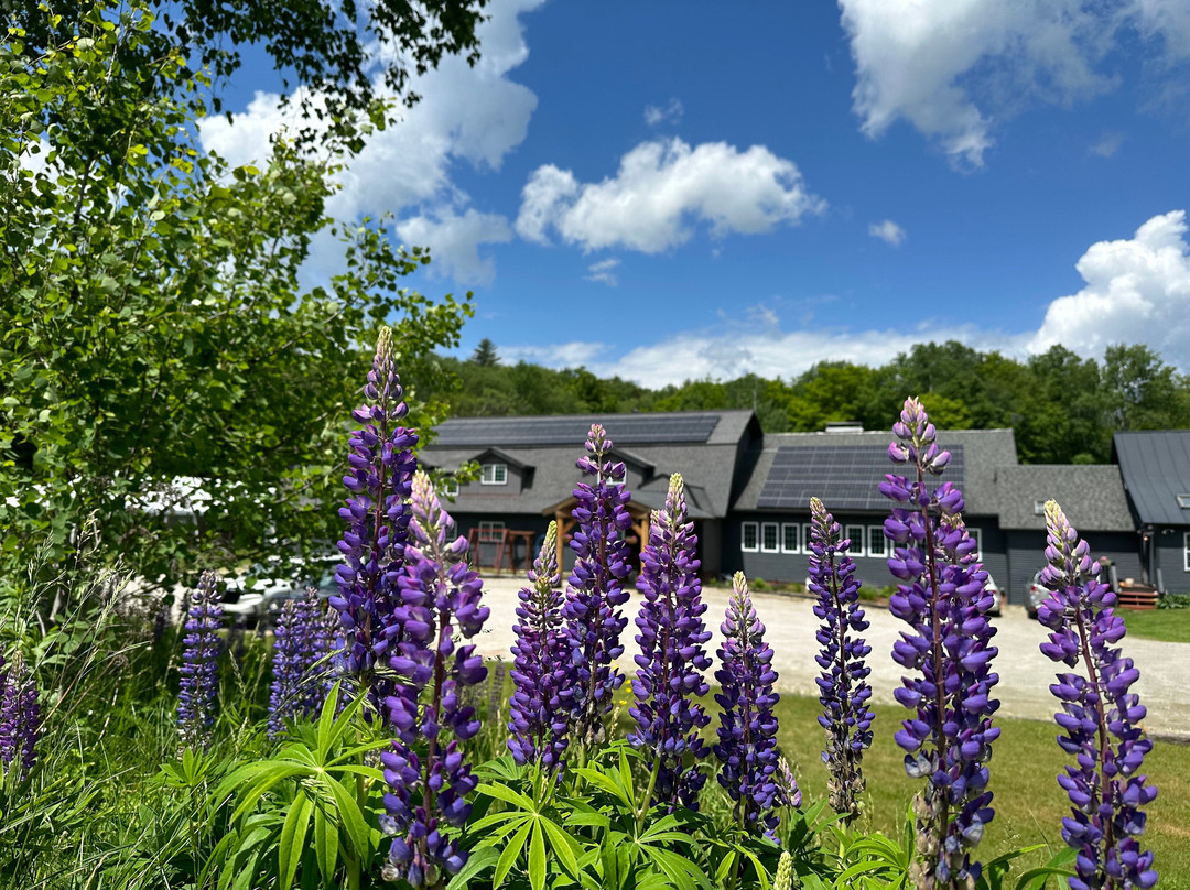 The Trailside Inn主图