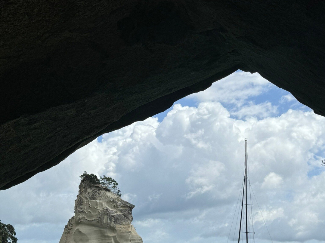 Aroha Luxury New Zealand Tours-Tokoroa必去景点