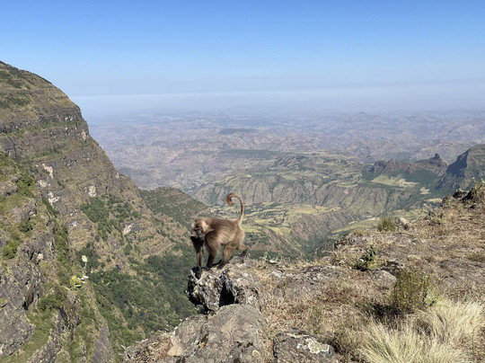 Simien Roof Tours-贡德尔必去景点