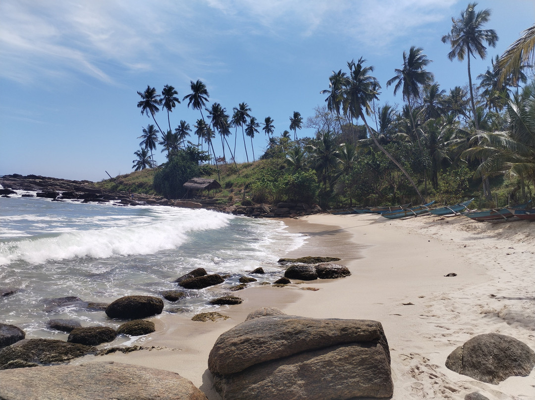 棕榈天堂小屋别墅主图