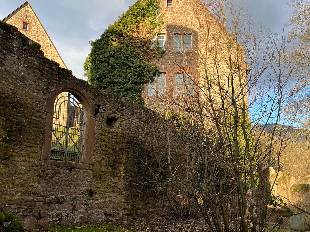Schloss Hirschhorn景点图片