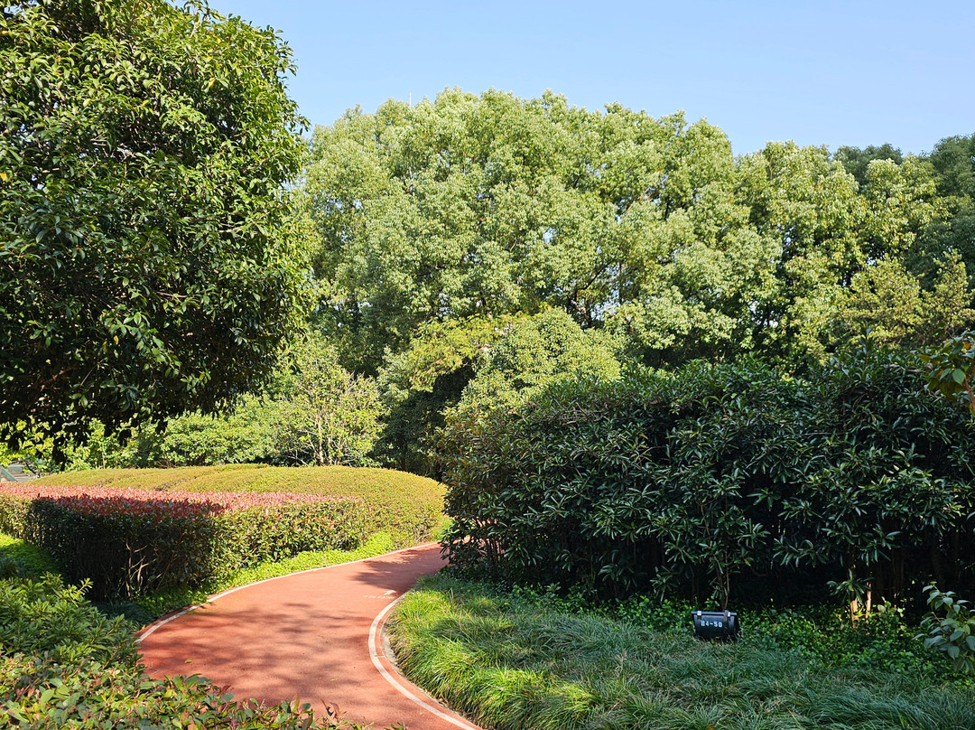 延中绿地-上海市必去景点