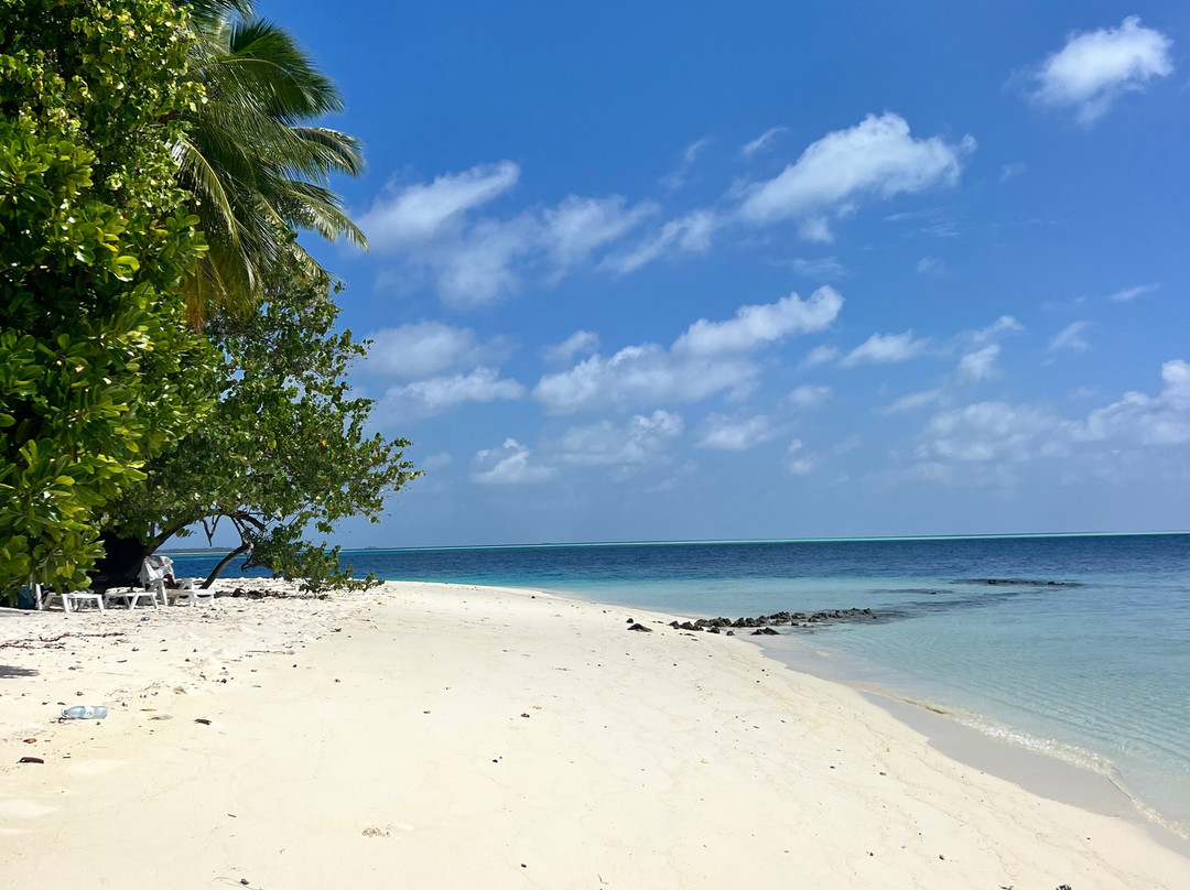 Island Life Maldives Retreat & Spa主图