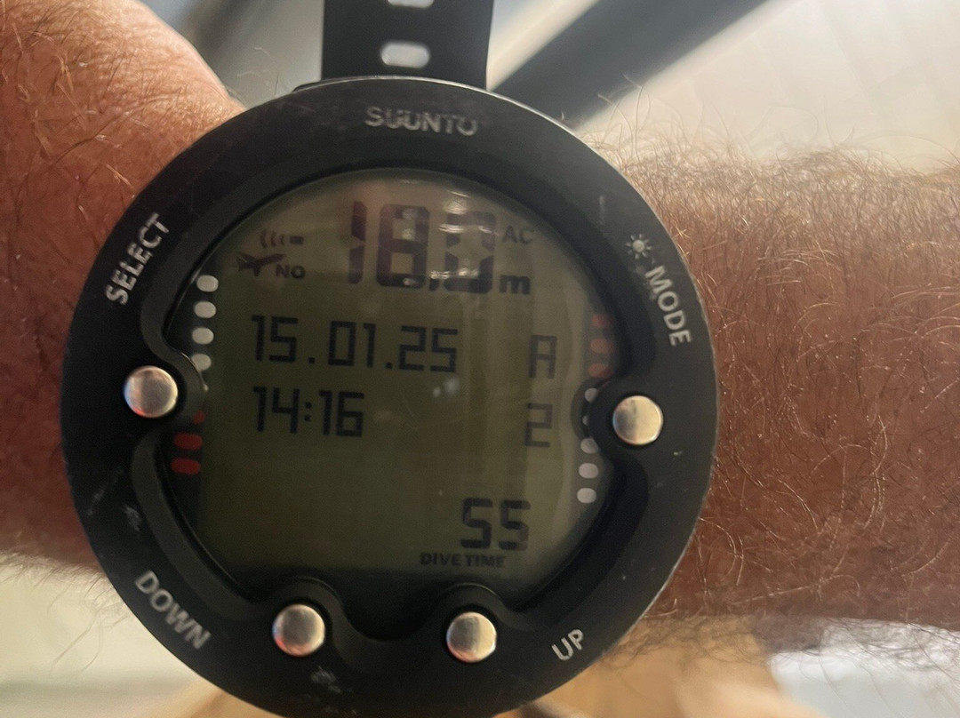 Dive Wederfoort-威廉斯塔德必去景点