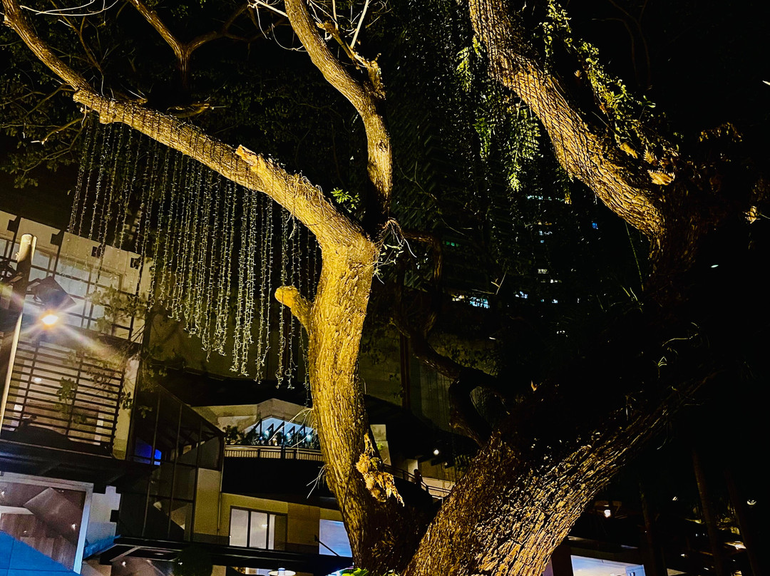 绿地购物中心-马卡蒂必去景点