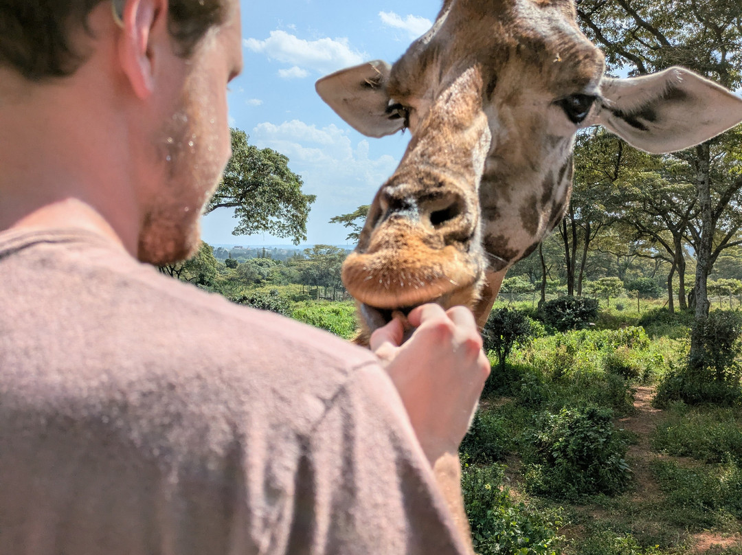 Africa Vision Safaris Tours and Travel景点图片