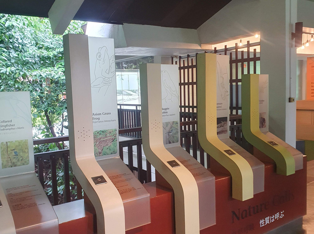 下畅游圣淘沙自然探索中心-圣淘沙岛必去景点