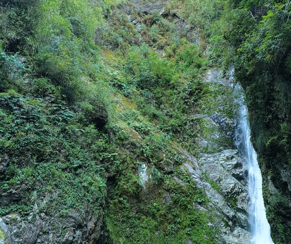 Cascada Cerrillos-Futrono必去景点