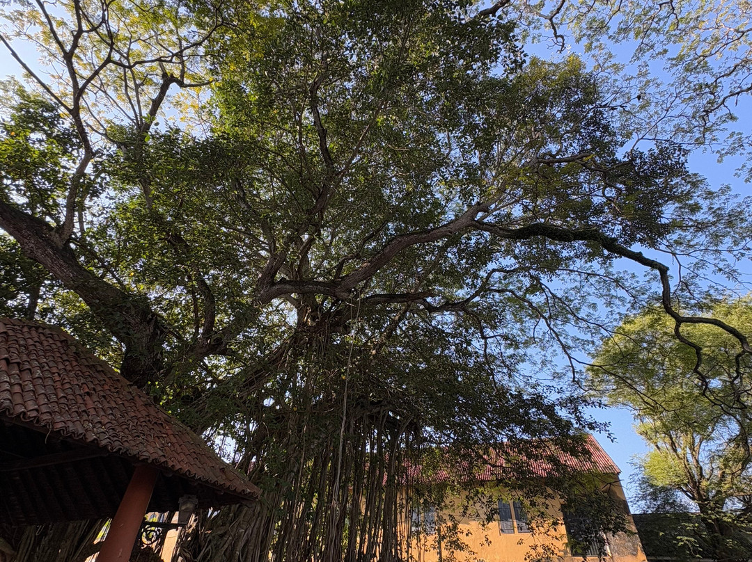 Sri Yoga Shala-乌纳瓦图纳必去景点