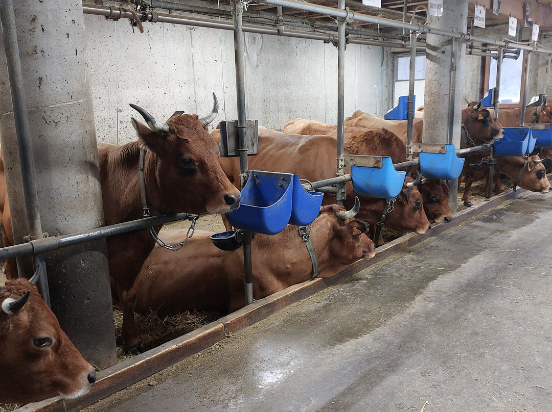 Ferme de l'Aberieux-Cordon必去景点