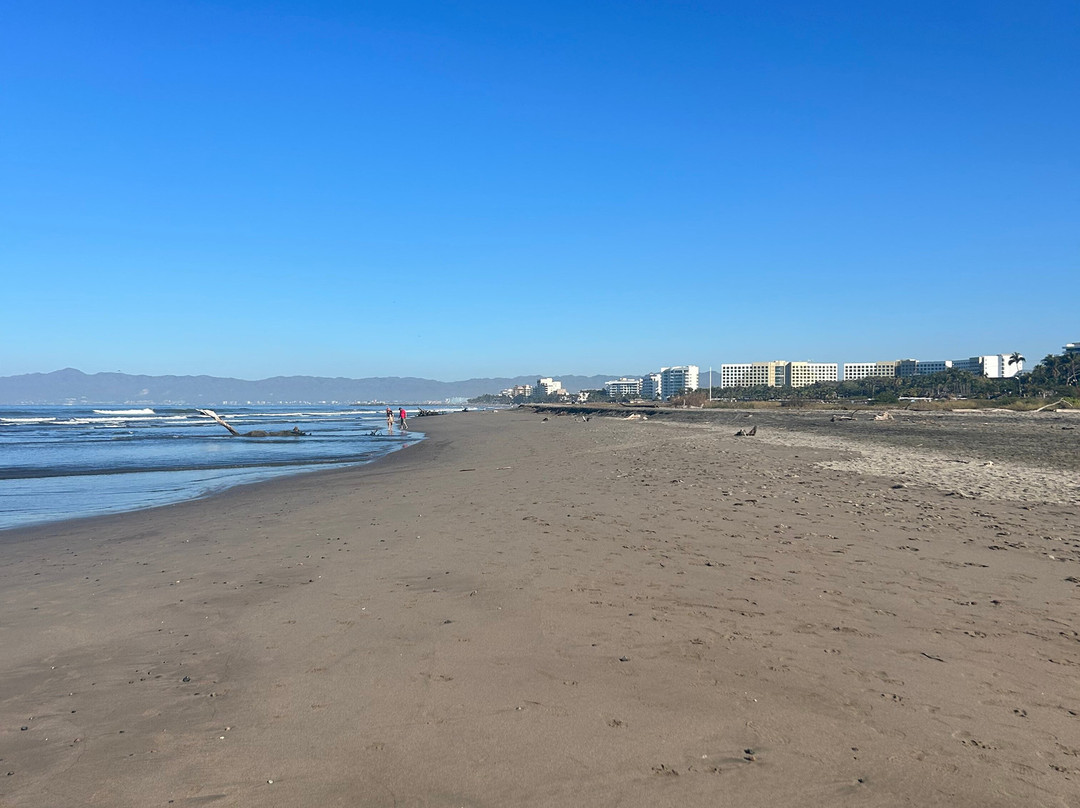 Sea Garden at Vidanta Nuevo Vallarta主图