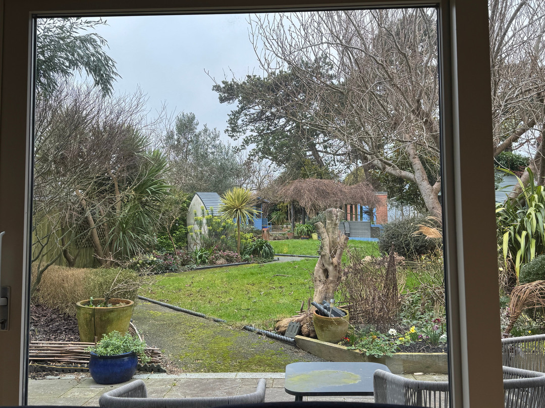 Birch House Bed and Breakfast主图