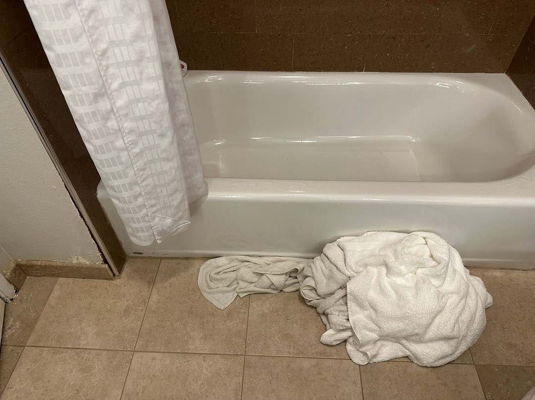 La Quinta Inn & Suites by Wyndham Alvin主图