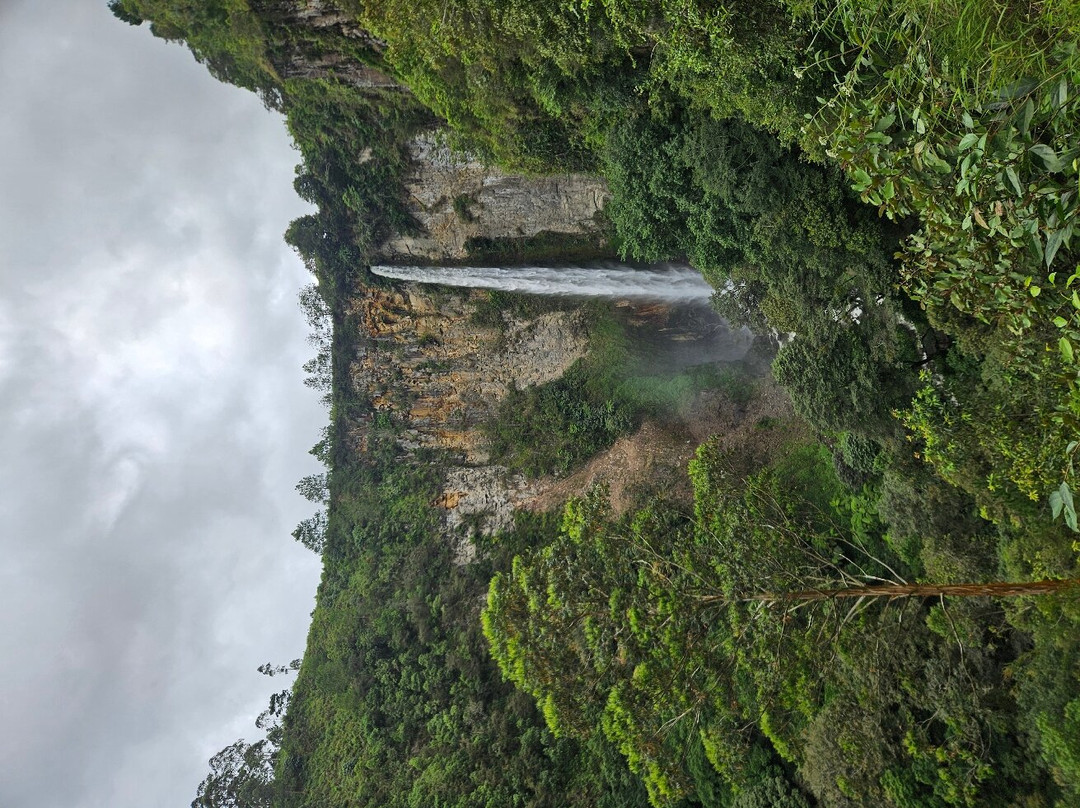 Junglebooked Adventure-棉兰必去景点