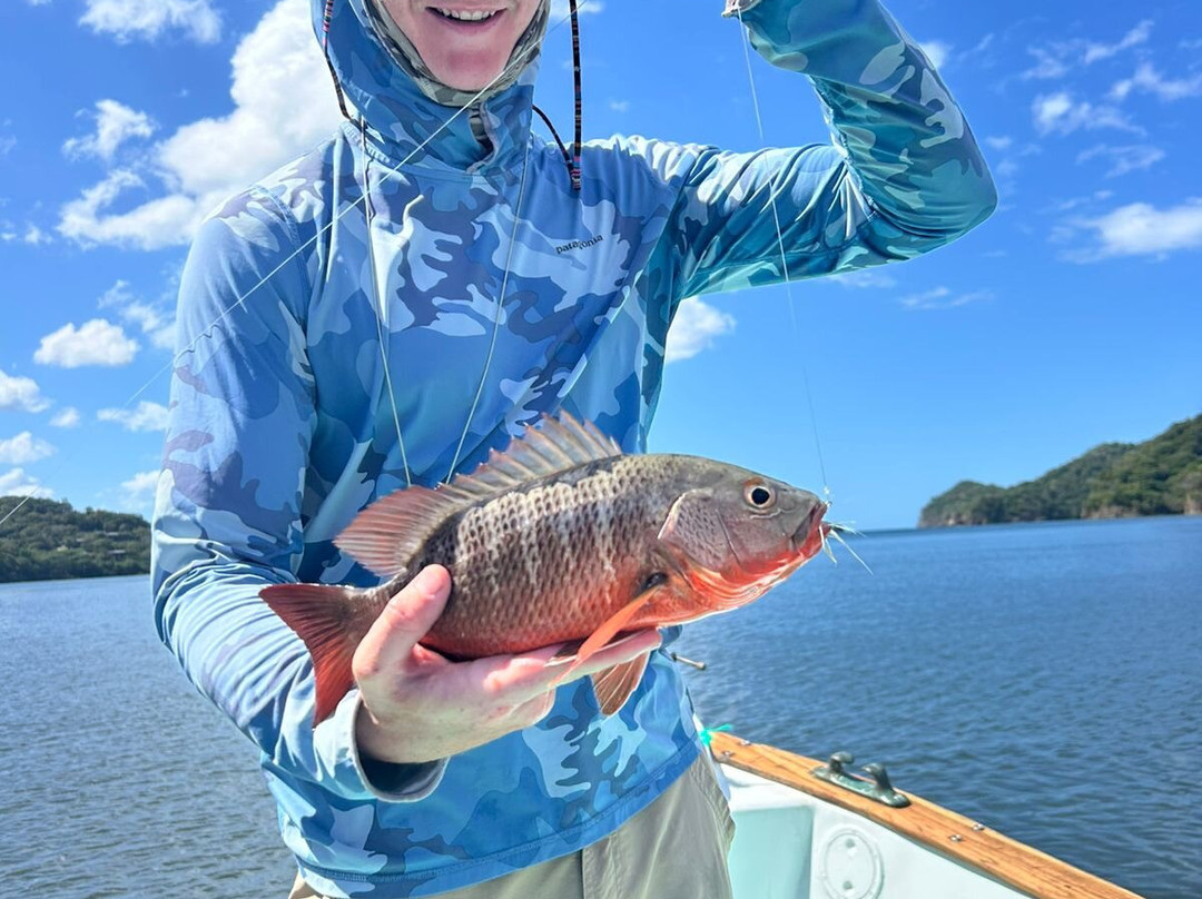 Papagayo Gulf Sport Fishing - North Pacific Tours景点图片