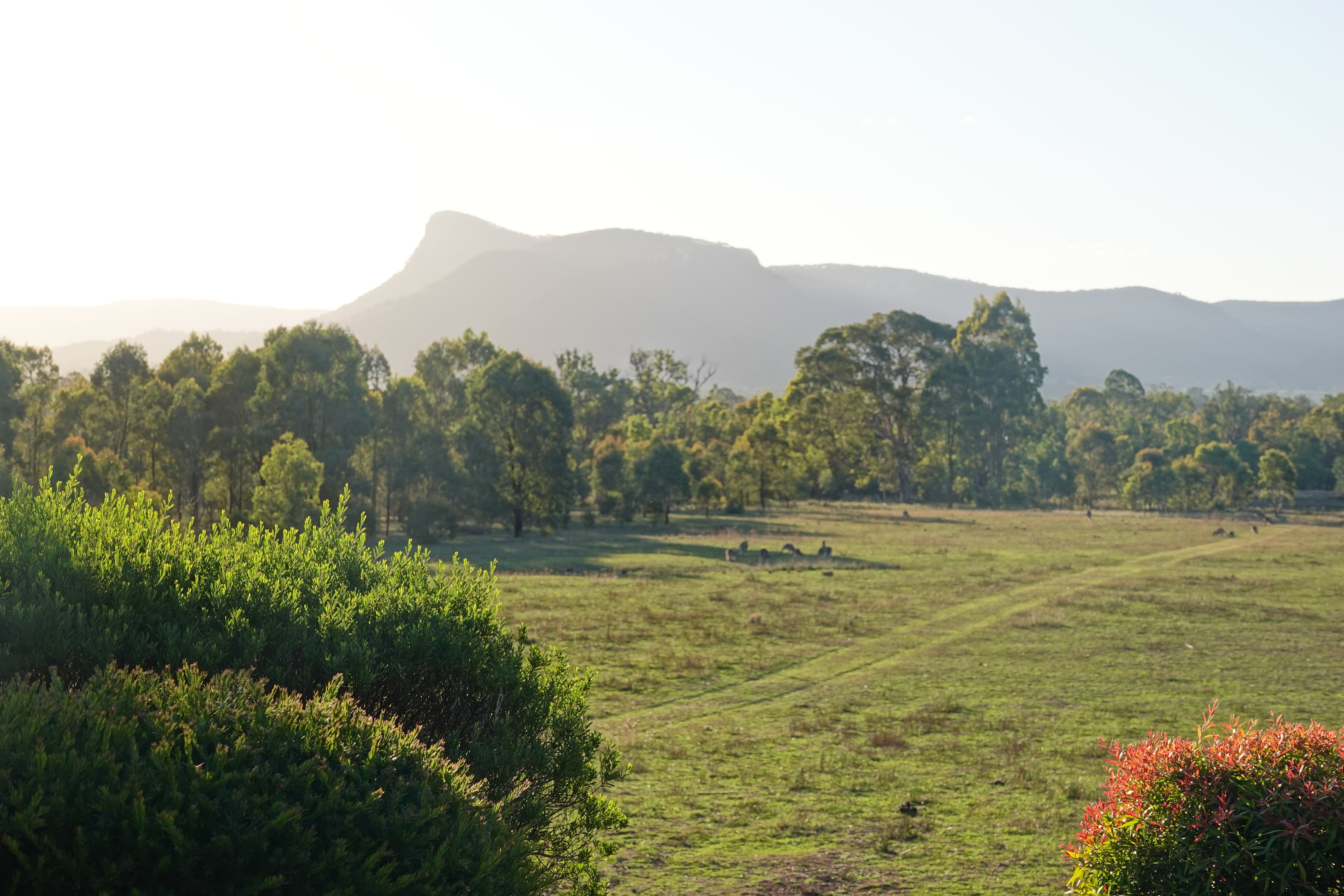 Belle Bois, Capertee Valley-浴室
