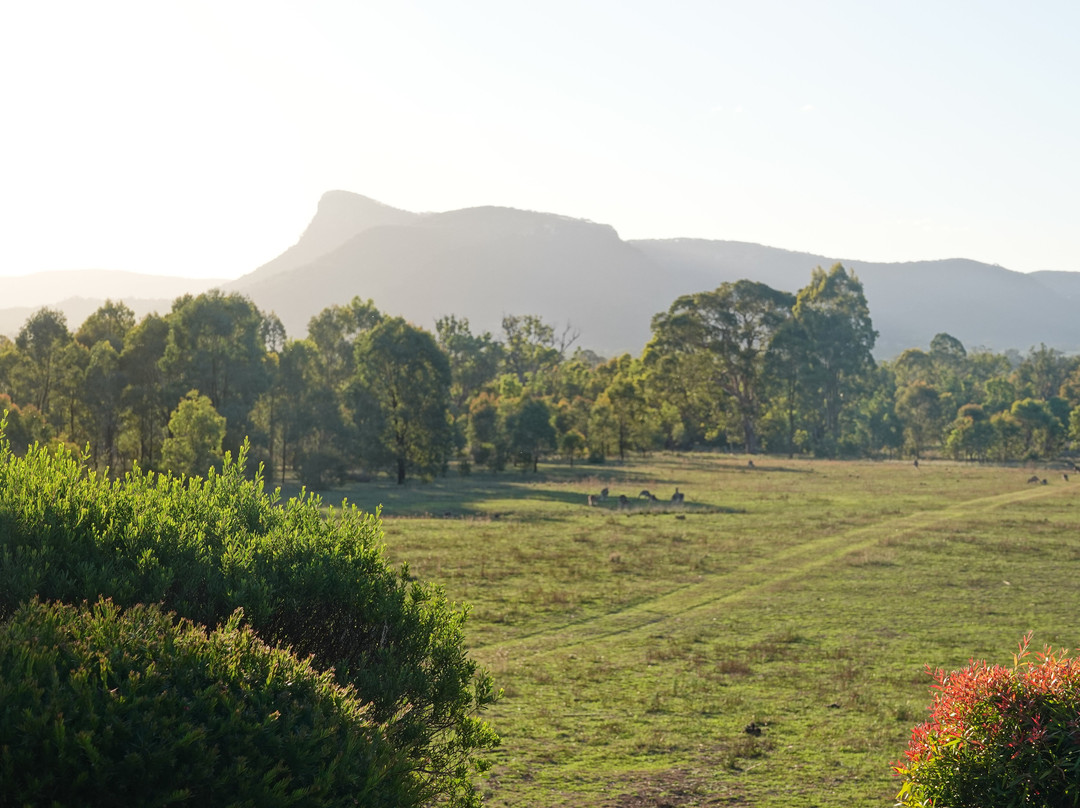 Belle Bois, Capertee Valley主图