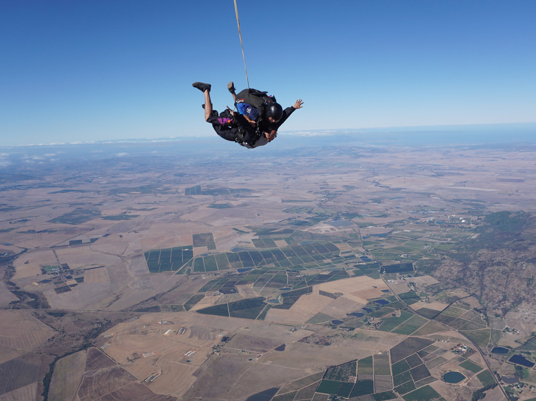 Skydive Two Oceans-惠灵顿必去景点