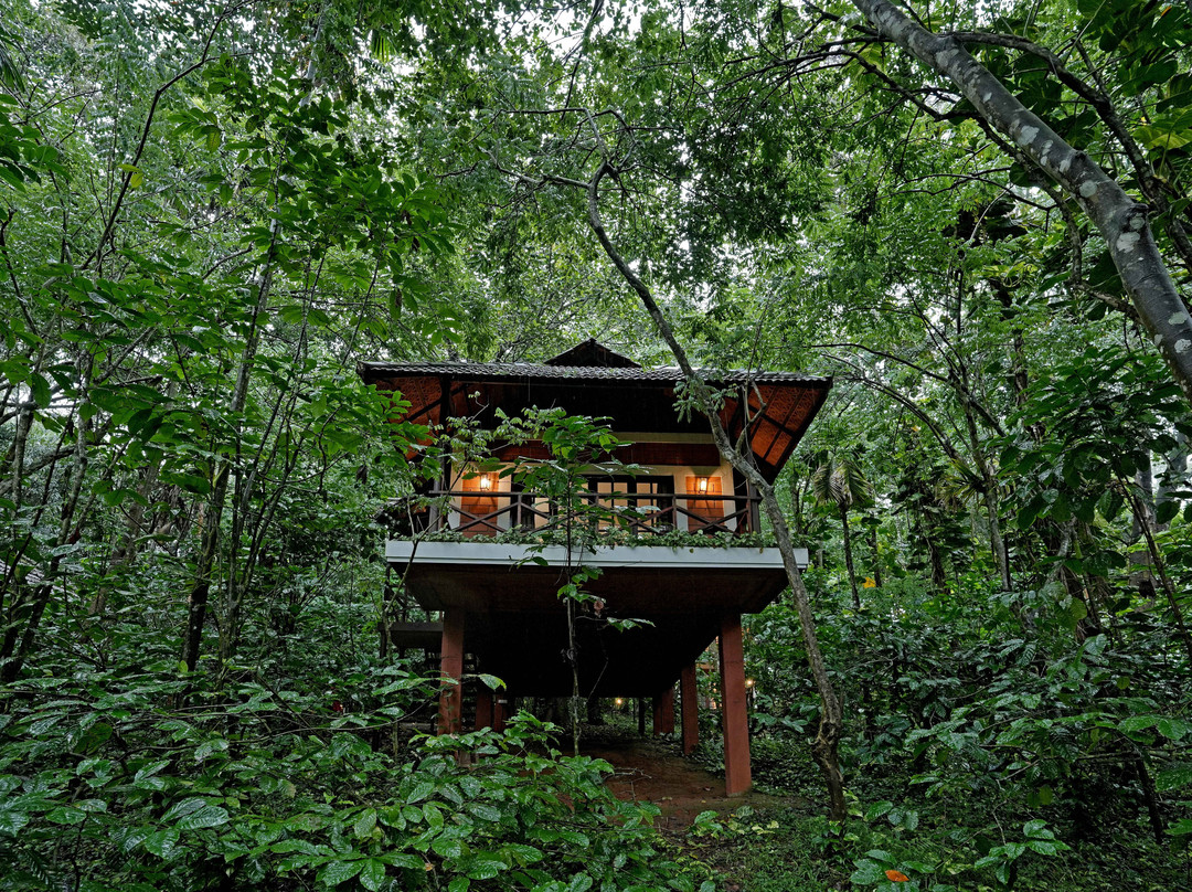 Coffee Acres Plantation Resort主图