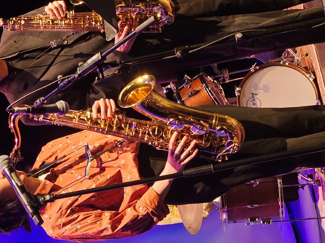 The Shadbolt Centre for the Arts-本那比必去景点