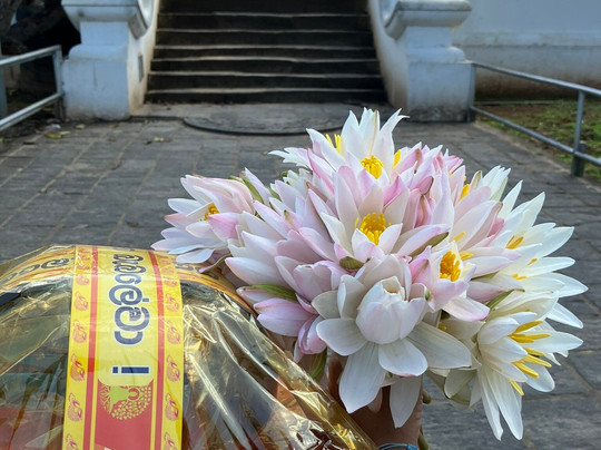 Rubyasia travels and tours-Ja Ela必去景点