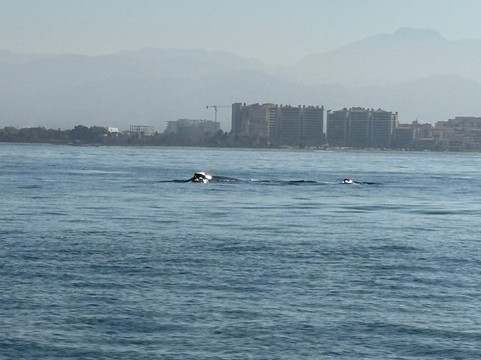 TB Tours-瓦拉塔港必去景点