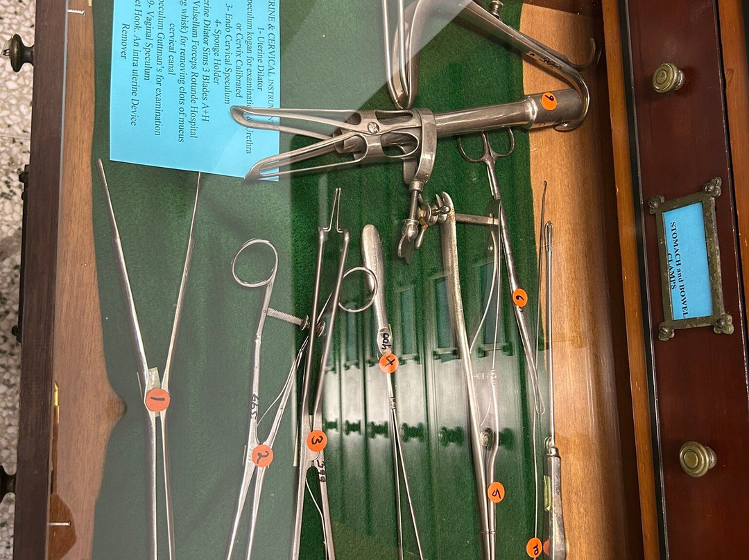 RPA Museum-悉尼必去景点