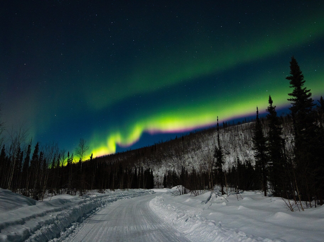 Wandering Alaska Llc-费尔班克斯必去景点