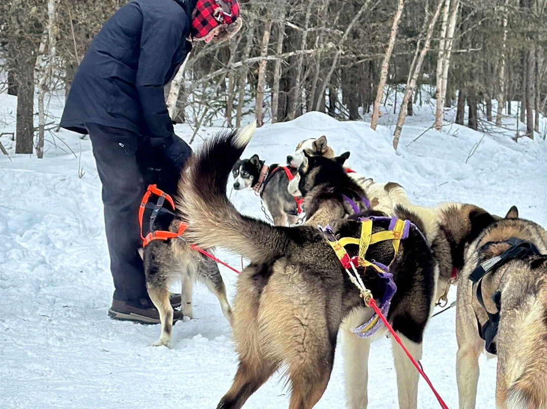 Le Chenil du Sportif-Charlevoix必去景点