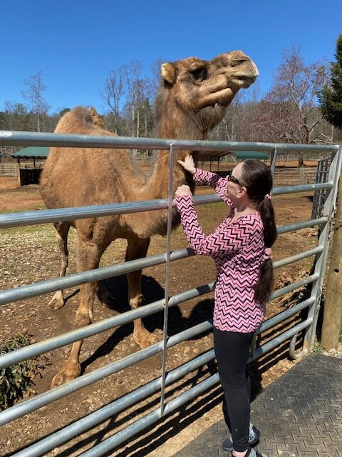 North Georgia Wildlife Park景点图片