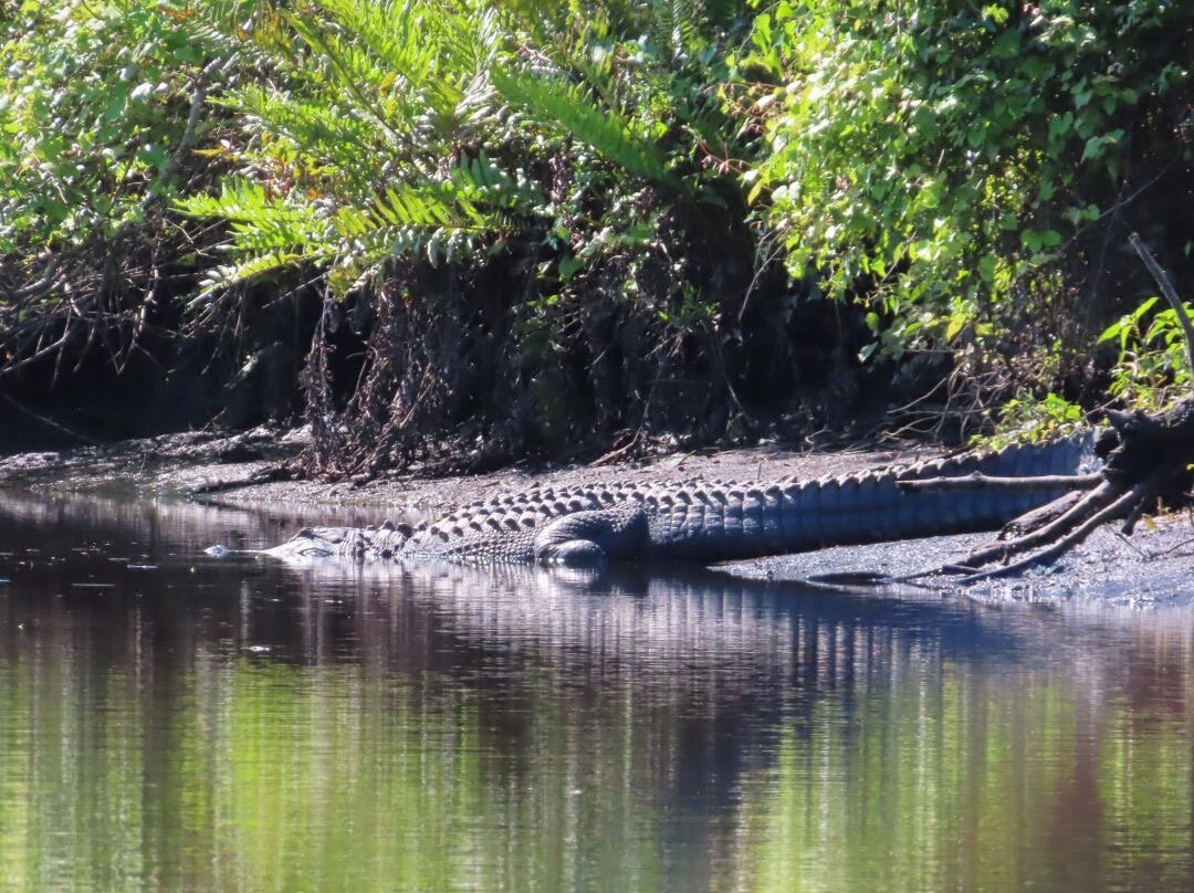 Kayak Eco Tours-阿卡迪亚必去景点