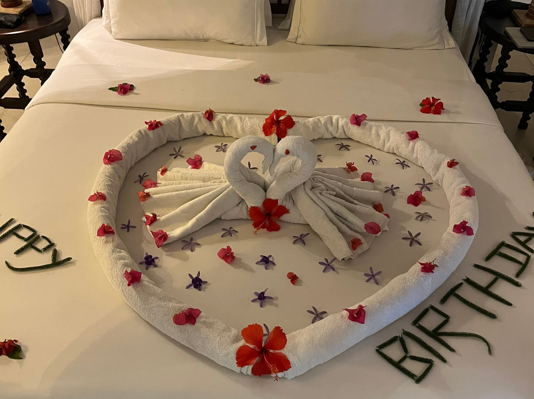 Sundara by Mosvold主图