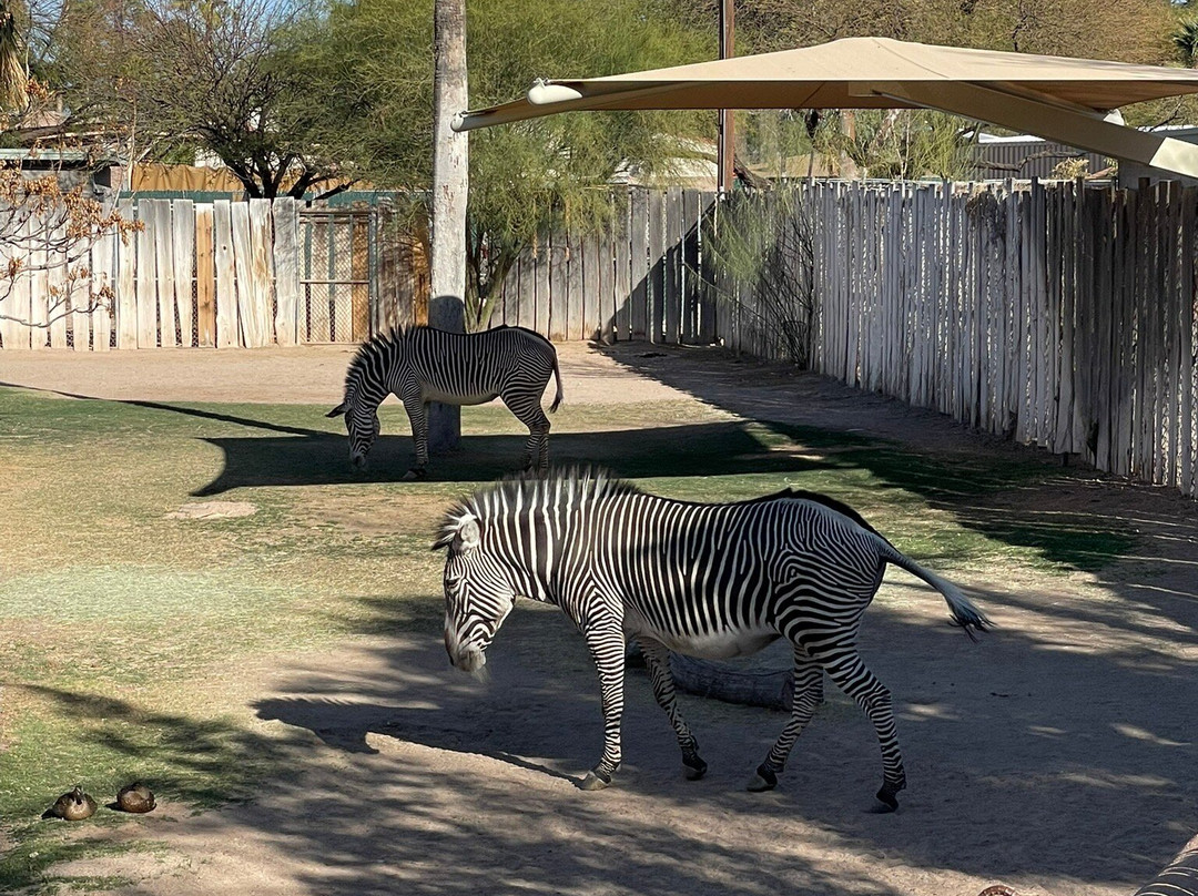 Reid Park Zoo-图森必去景点