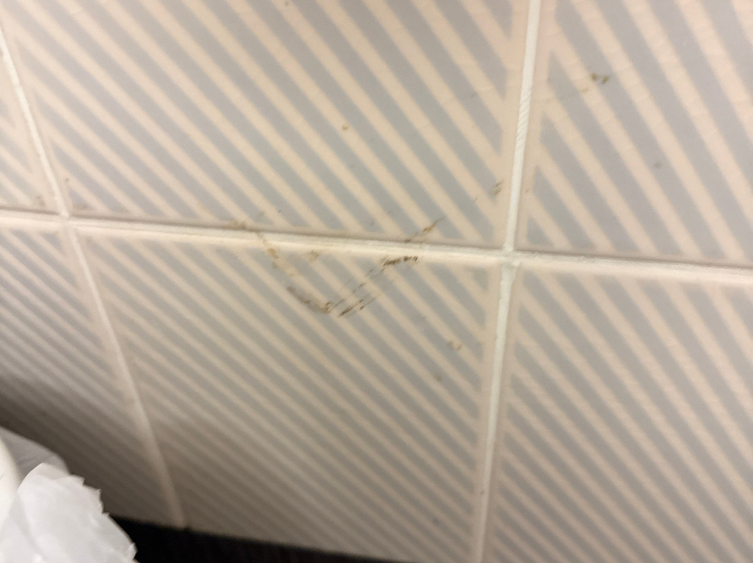 Travelodge Chichester Emsworth主图